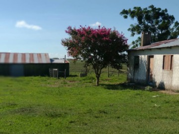 Rural - Venda - Zona Rural - So Gabriel - RS