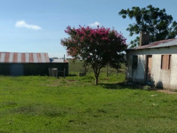 Rural - Venda - Zona Rural - São Gabriel - RS