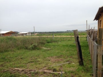 Terreno - Venda - Brasil - São Gabriel - RS