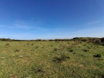 Rural - Venda - Zona Rural - So Gabriel - RS