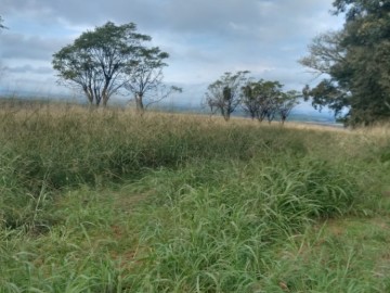 Rural - Venda - Zona Rural - São Gabriel - RS