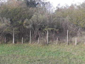 Terreno - Venda - Bom Fim - São Gabriel - RS