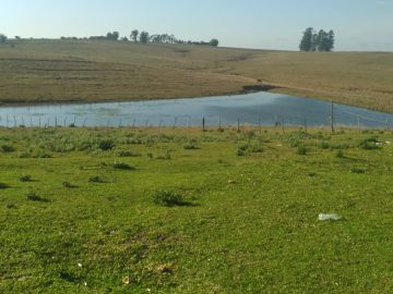 Chácara - Venda - Zona Rural - São Gabriel - RS