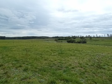 Rural - Venda - Santa Clara - São Gabriel - RS