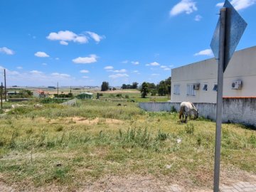 Terreno - Venda - Centro - Santa Margarida do Sul - RS