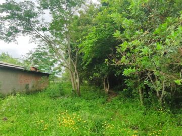 Terreno - Venda - Dr. Dácio - São Gabriel - RS