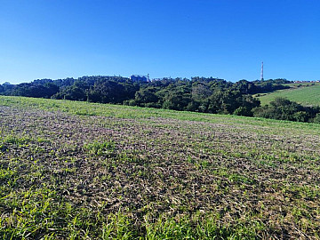 Rural - Venda - Vila Nova do Sul - Vila Nova do Sul - RS