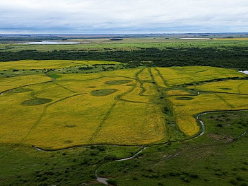 Rural � Venda