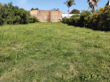 Terreno - Venda - Capiotti - São Gabriel - RS