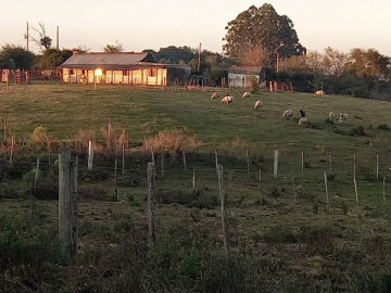 Chácara - Venda - Zona Rural - São Gabriel - RS
