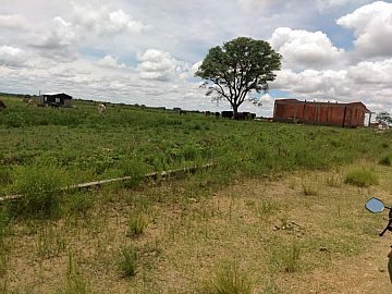 Terreno - Venda - Menino Jesus - S�o Gabriel - RS