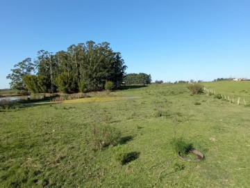 Rural - Venda - Novo Horizonte - So Gabriel - RS