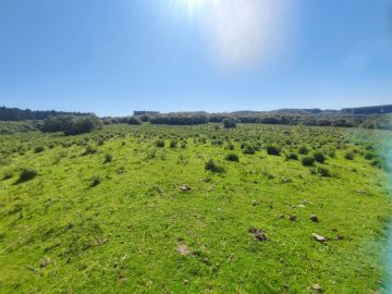 Terreno - Venda - Zona Rural - São Gabriel - RS