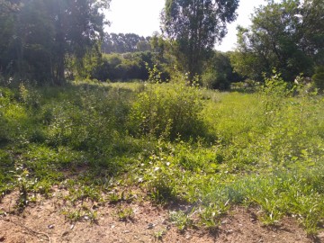 Terreno - Venda - Bomfim - São Gabriel - RS