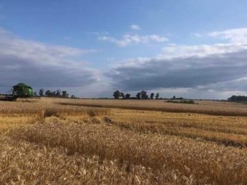 Rural - Venda - Zona Rural - Cachoeira do Sul - RS