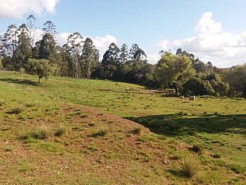 Rural � Venda