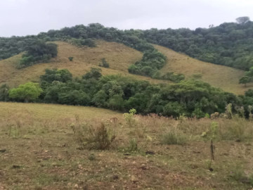 Rural - Venda - Vila Nova do Sul - Vila Nova do Sul - RS