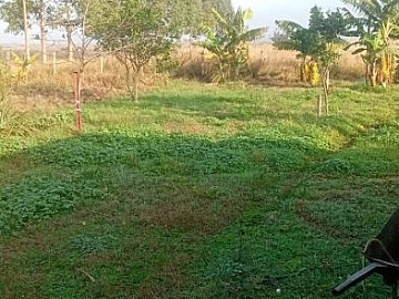 Rural � Venda