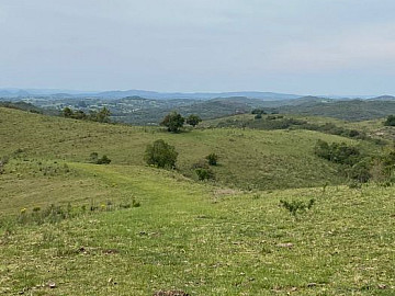 Rural - Venda - Zona Rural - São Gabriel - RS