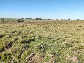 Rural - Venda - Rural - São Gabriel - RS