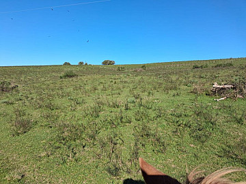 Rural - Venda - Zona Rural - S�o Gabriel - RS
