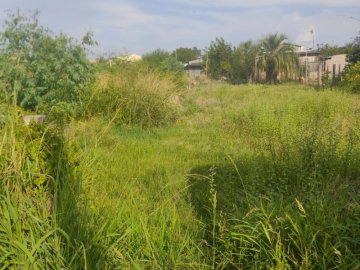 Terreno - Venda - Cidade Nova - São Gabriel - RS