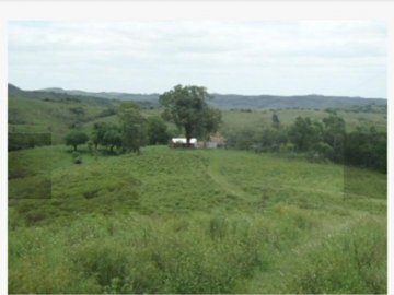 Chácara - Venda - Cerro do Ouro - São Gabriel - RS