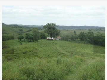 Chcara - Venda - Cerro do Ouro - So Gabriel - RS